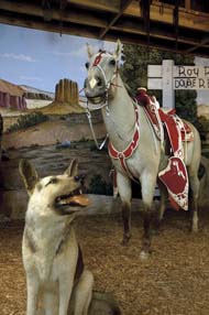 Buttermilk and Bullet