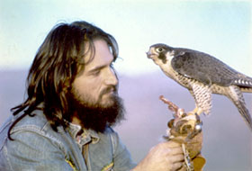 Danny Verrier and one of his Peregrine Falcons
